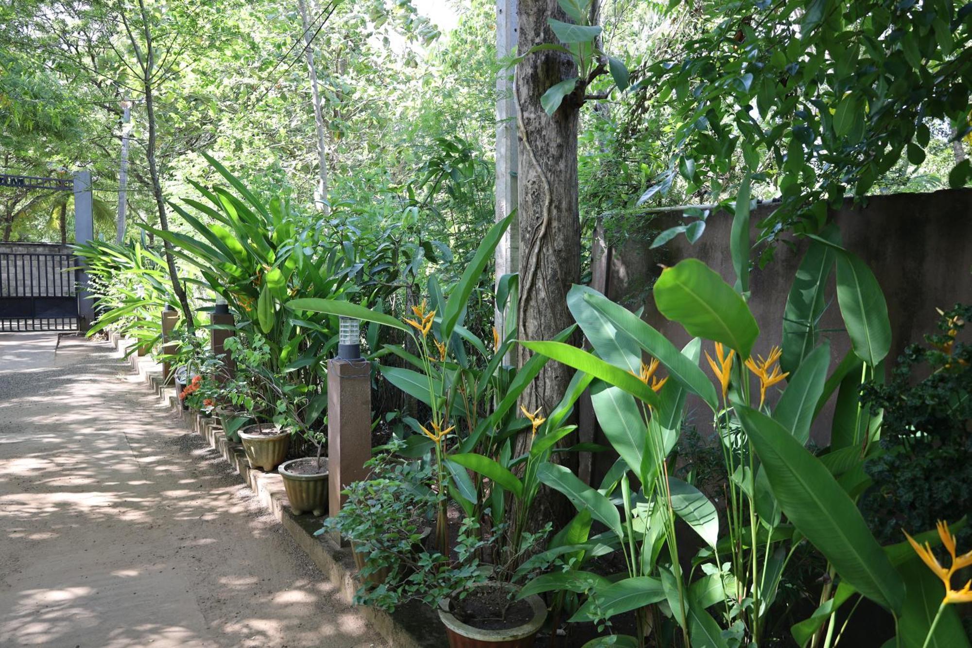 Max Safari Villa Udawalawe Luaran gambar
